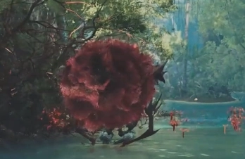 怪物獵人中荒野刺花蜘蛛的位置在哪？