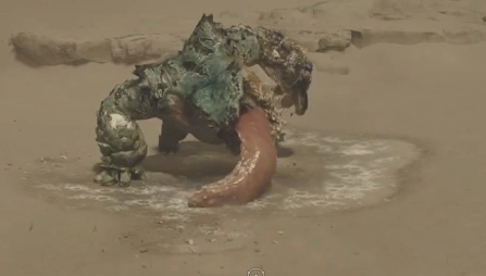 怪物獵人里荒野纏蛙在什么地方