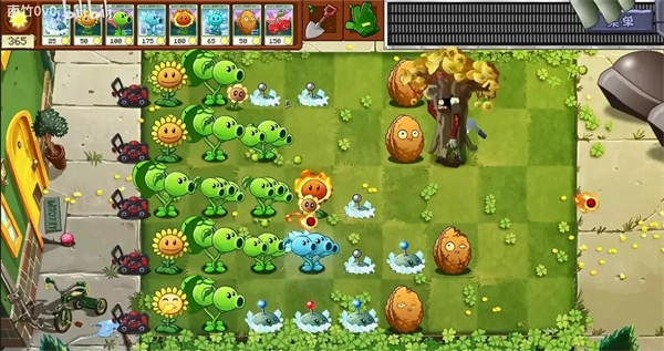 植物大战僵尸转基因版