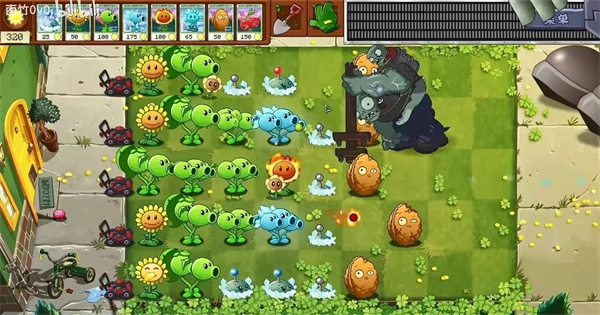 植物大战僵尸转基因版