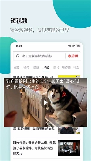 白狐浏览器手机版截图3