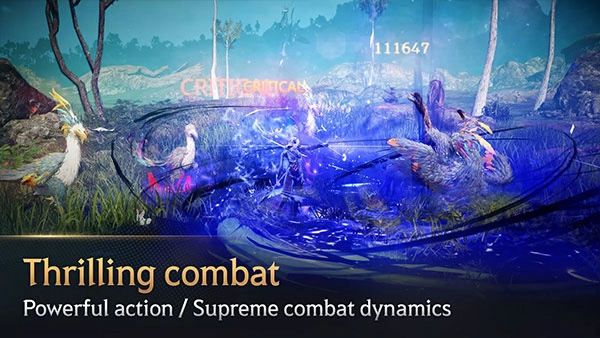 黑色沙漠国际服(5)