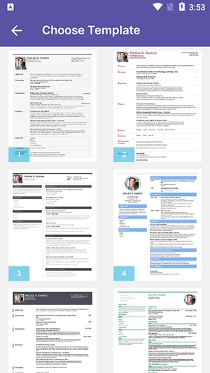 英文简历制作(3)