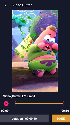 照片视频制作器3