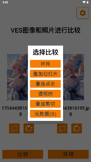 VES图像和照片进行比较