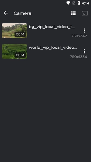 TPlayer播放器图4