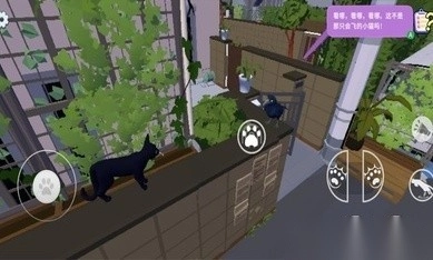 大城小猫中文版截图1