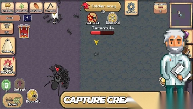 口袋蚂蚁中文版