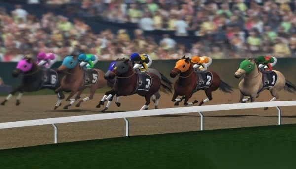 大功告成赢得杯赛(1)