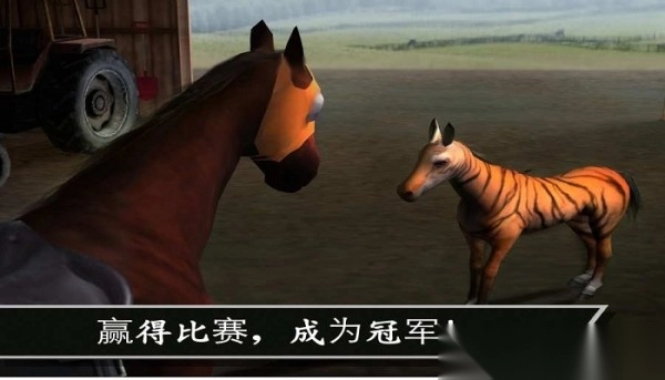 大功告成赢得杯赛(3)