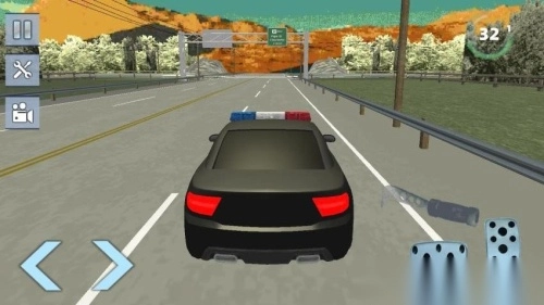 真实警车追逐图3