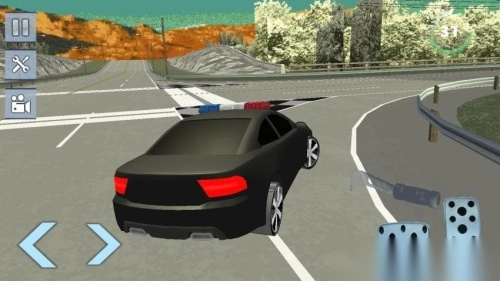 真实警车追逐图2