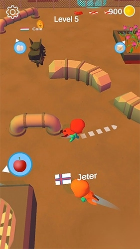 躲猫猫竞赛3D(1)