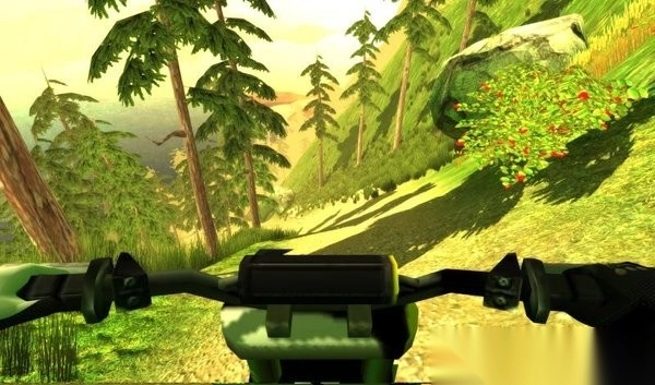 自行车下坡模拟器-图3