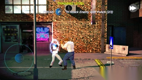 功夫王格斗冠军(3)