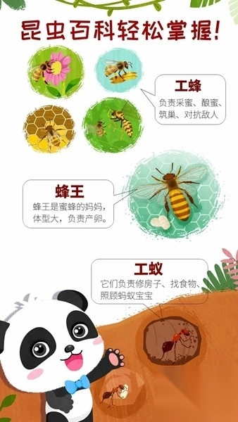 奇妙昆虫世界宝宝巴士