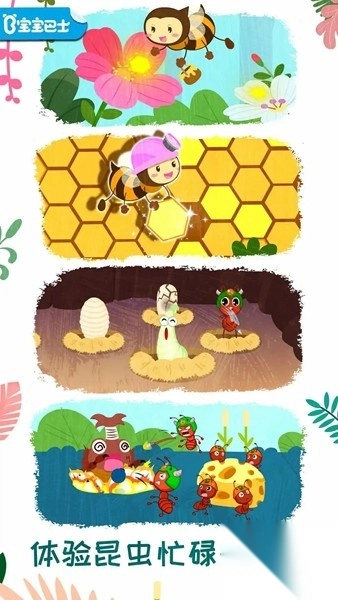 奇妙昆虫世界宝宝巴士
