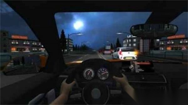 模拟拉力赛车图2