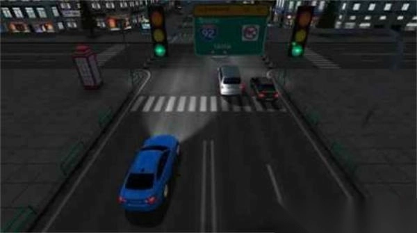 模拟拉力赛车图1