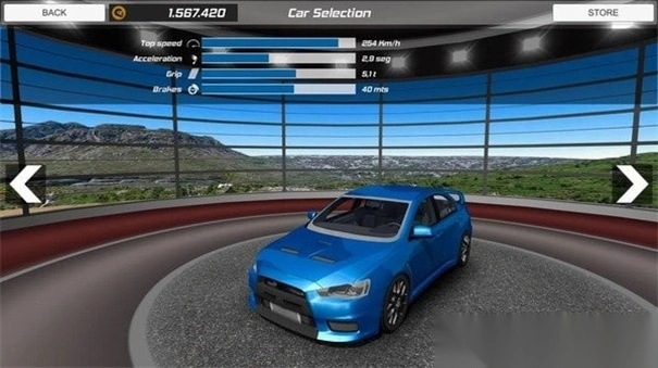 拉力冠军赛-图3