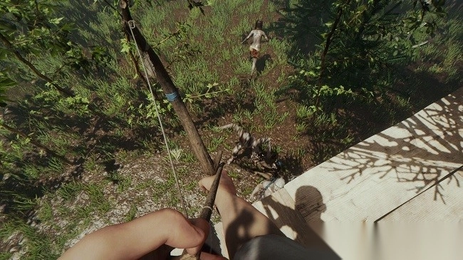 饥饿荒野求生森林图1