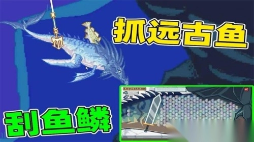 成为钓鱼大师图1