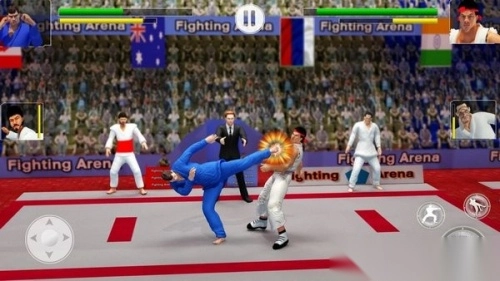 功夫大师手机版图1