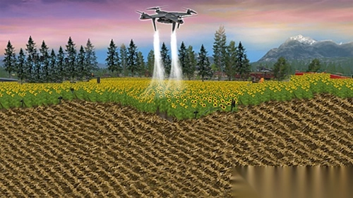 一点都不迷你农场(1)