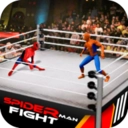 超级英雄VS蜘蛛英雄