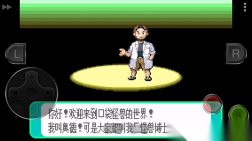 口袋妖怪绿宝石