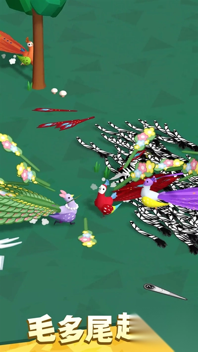 孔雀拔毛大赛中文版