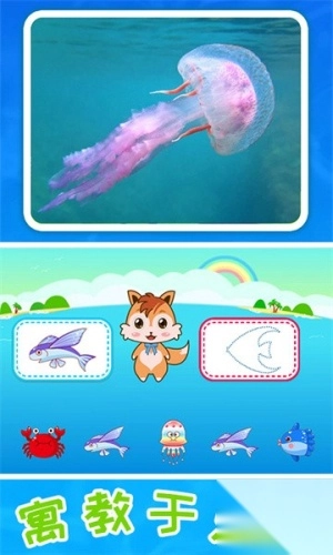 儿童宝宝海洋世界