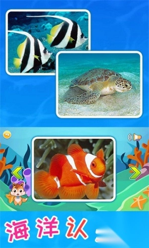 儿童宝宝海洋世界