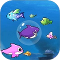 大鱼吃小鱼之鱼鱼大作战最新版