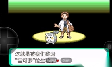 口袋妖怪之暗影归来图3