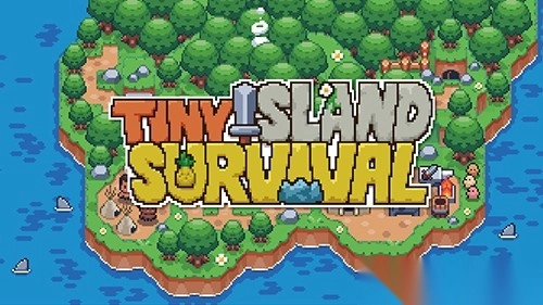 TinyIslandSurvival(3)