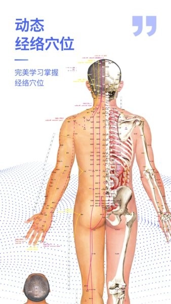 人体3D解剖图谱手机版图2