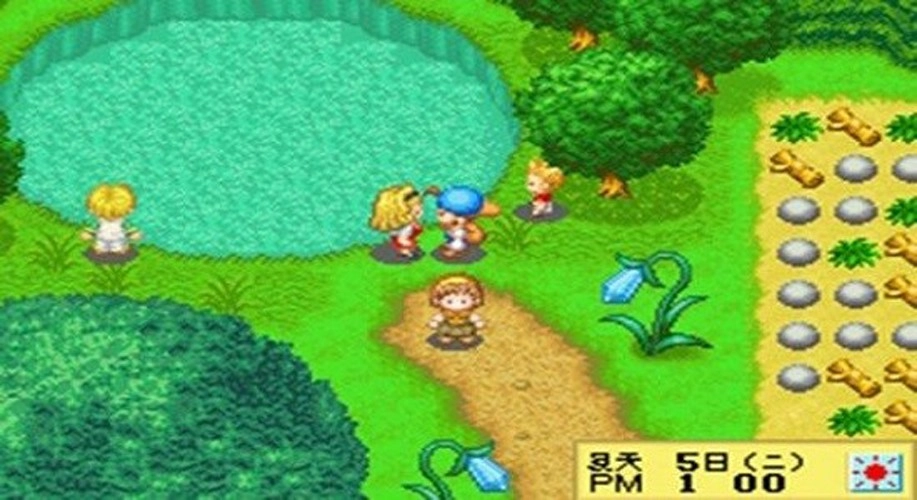 牧场物语精灵驿站女孩图3