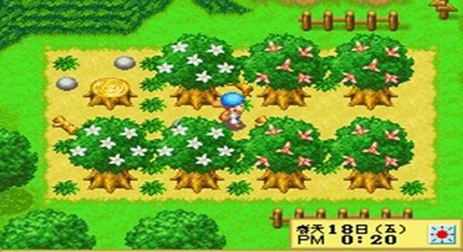 牧场物语精灵驿站女孩图2