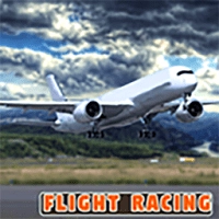 驾驶飞行模拟器