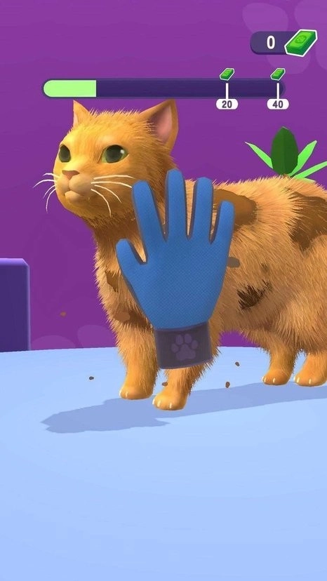 宠物美容理发店图2