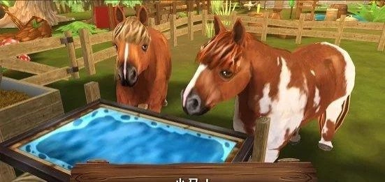 可爱动物旅馆截图3