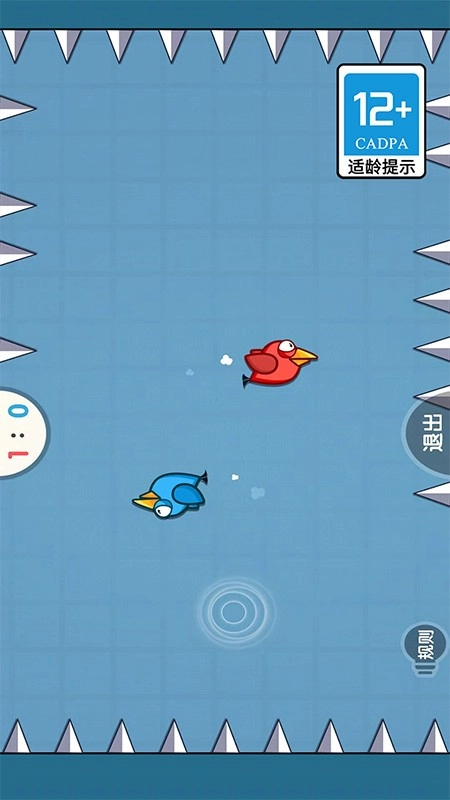 双人大挑战安卓版