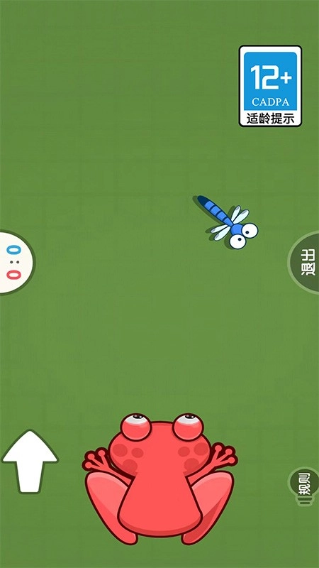 双人大挑战安卓版