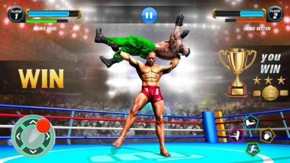 真正的格斗游戏图2