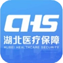 湖北智慧医保服务平台