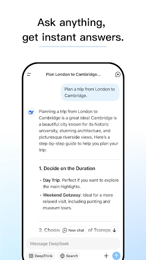 DeepSeek海外版截图3