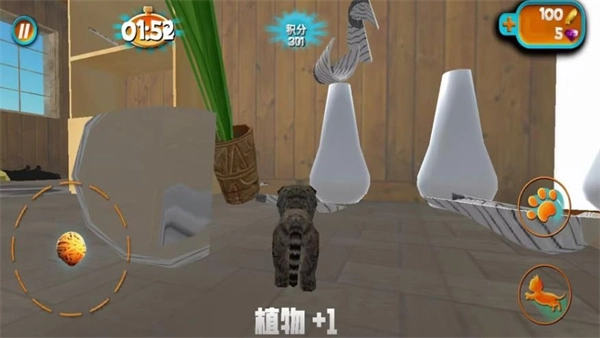 奶奶贴心小猫图2