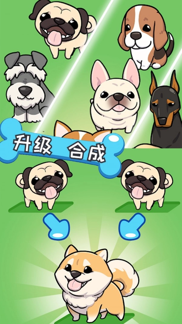 哈士奇萌宠屋-图1