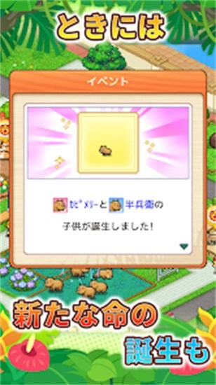 探险顽皮动物园图3